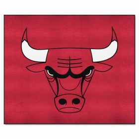 NBA - Chicago Bulls Tailgater Rug 5'x6'